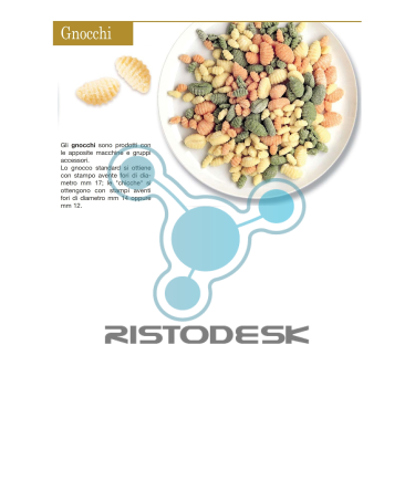gruppo-gnocchi-a-pressione1-multipasta-gnocchi-ristodesk-2