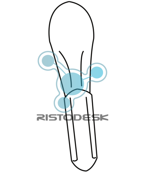 paletta-gelato-697070155-ristodesk-1 paletta-gelato-697070155-ristodesk-1
