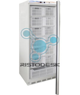 congelatore-verticale-professionale-g-ef600cas-ristodesk-1